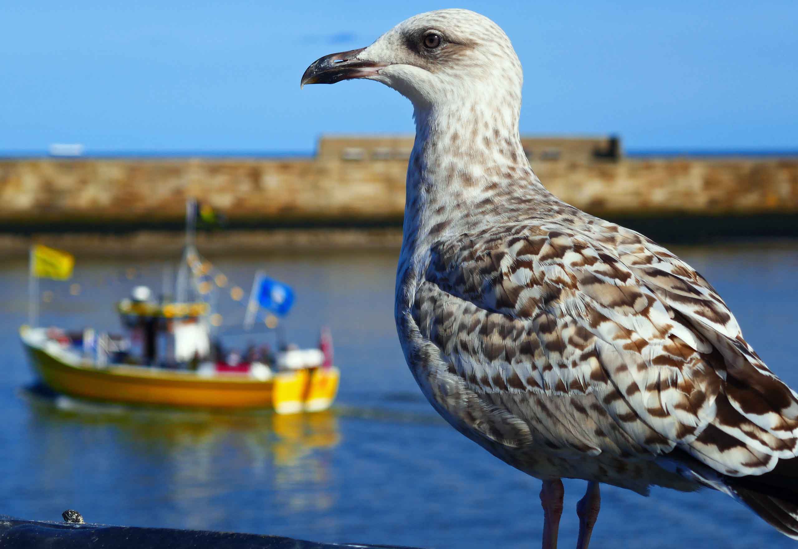 Whitby