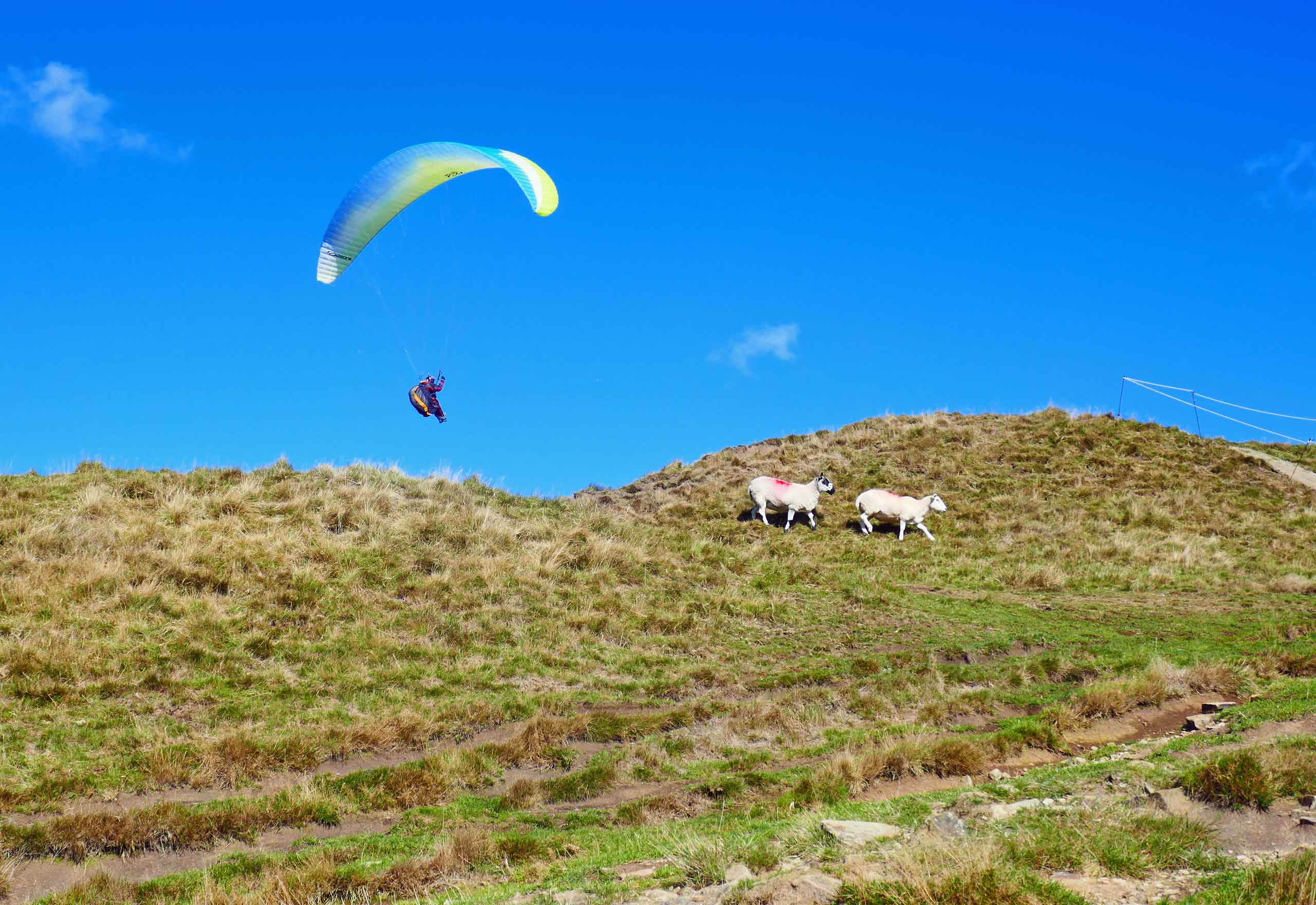Hangglider