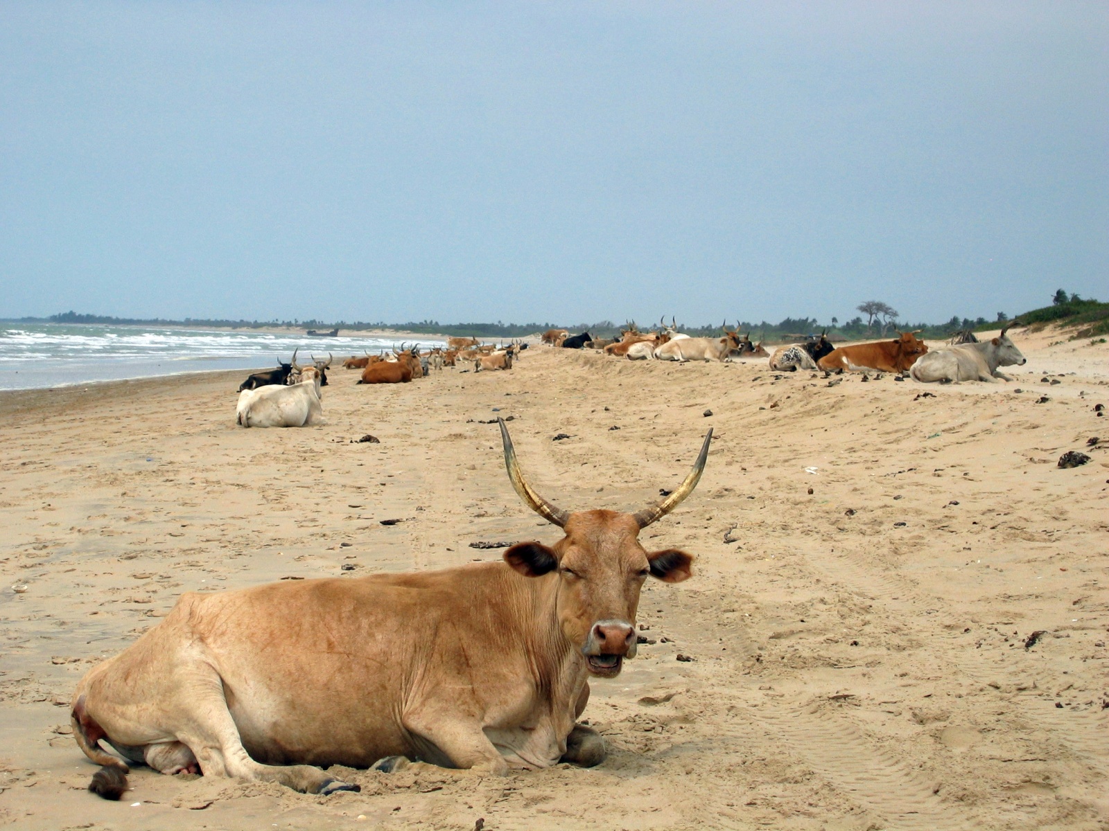 Stranden