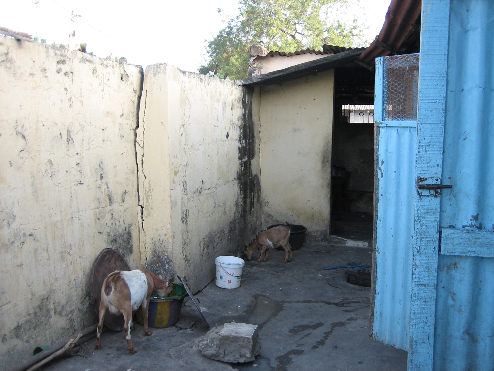 Hotel Bel Kady, Ziguinchor