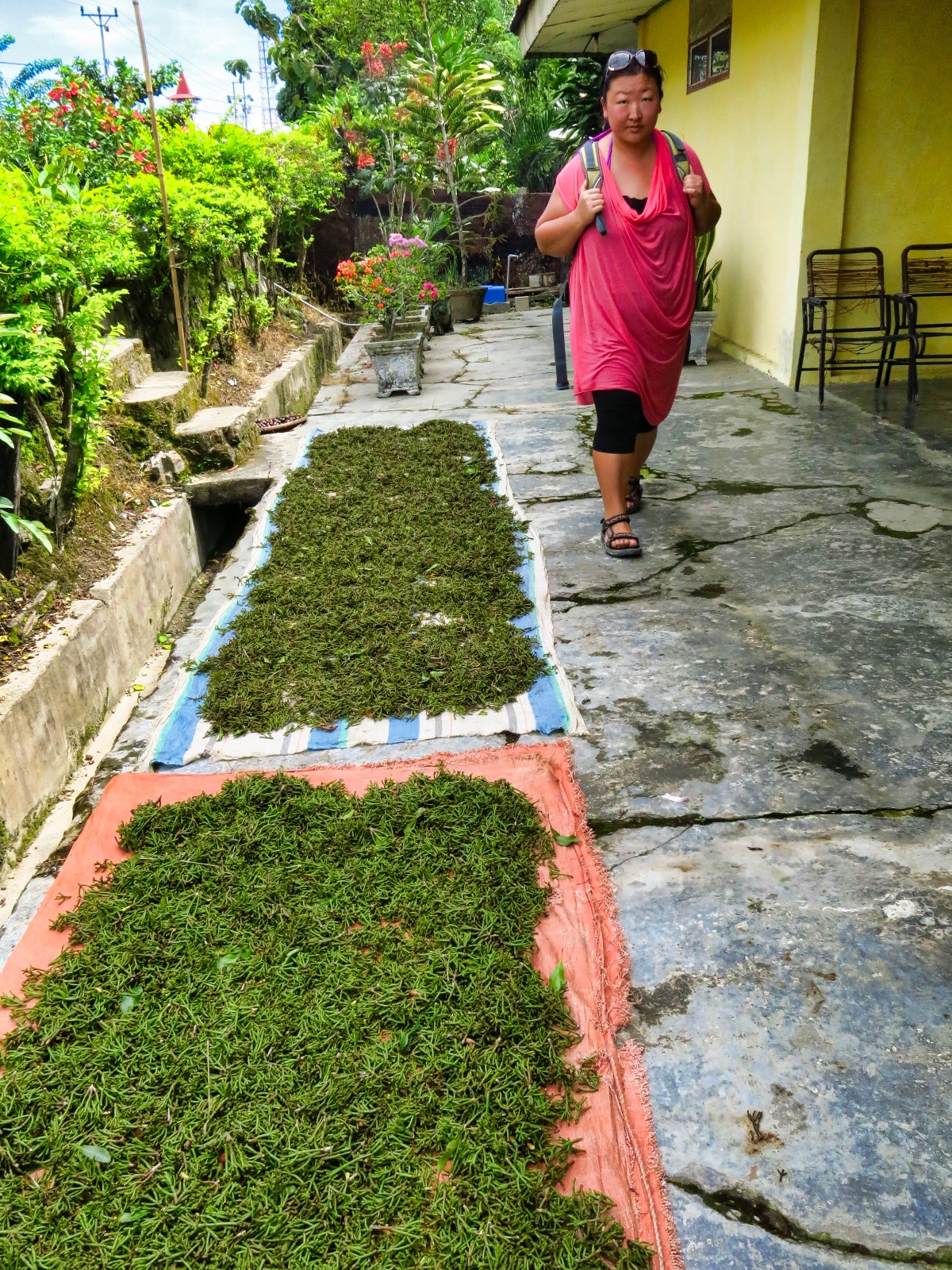 Tentena tang