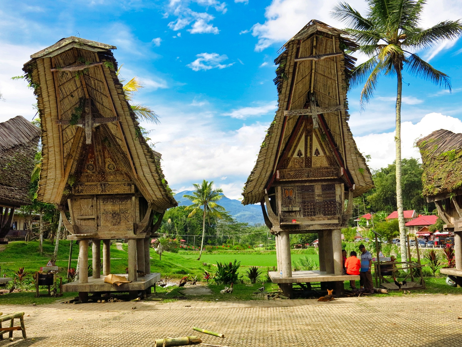 Tana Toraja