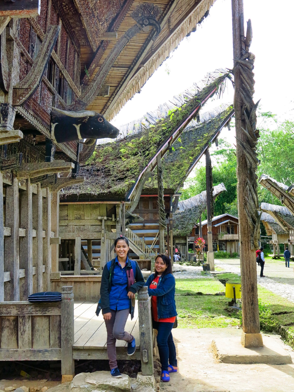 Tana Toraja