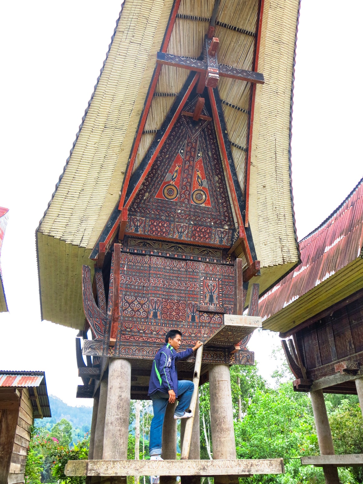 Tana Toraja rislager