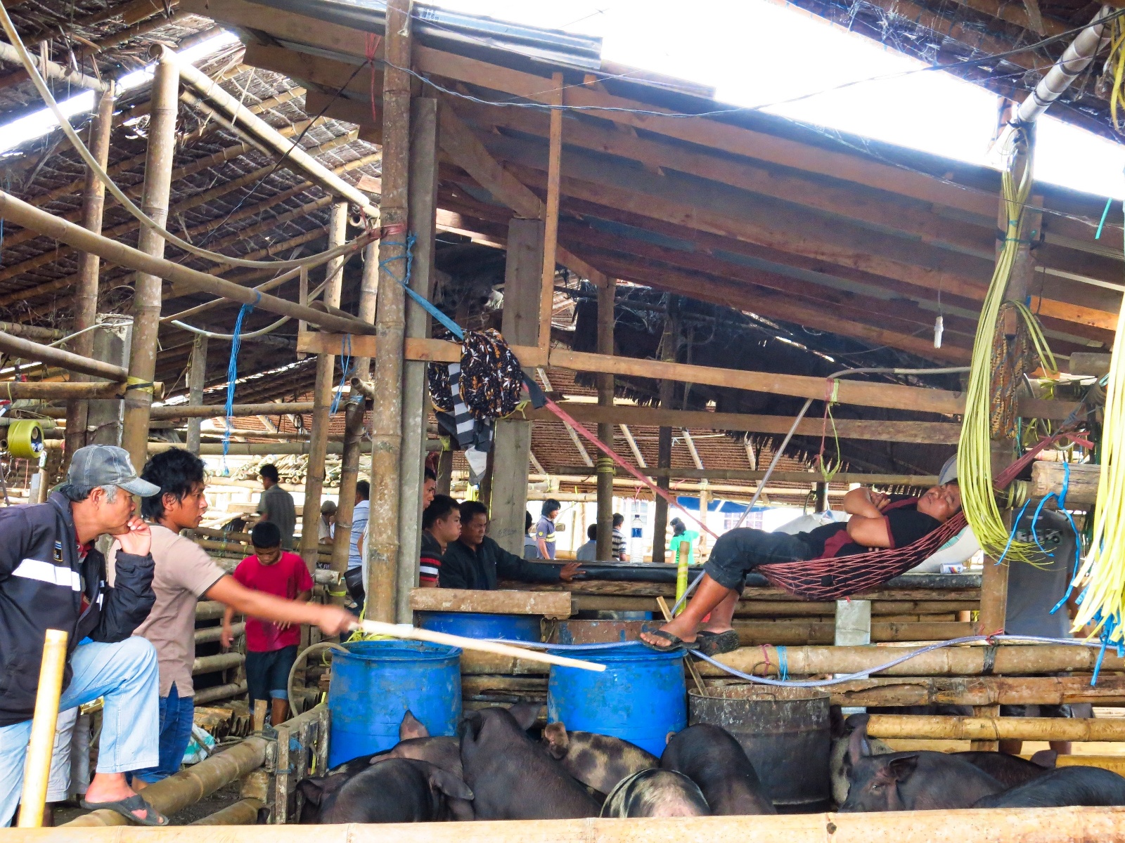 Tana Toraja