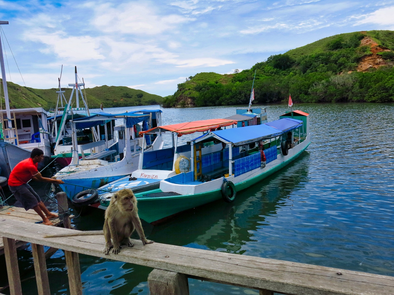 Komodo National Park