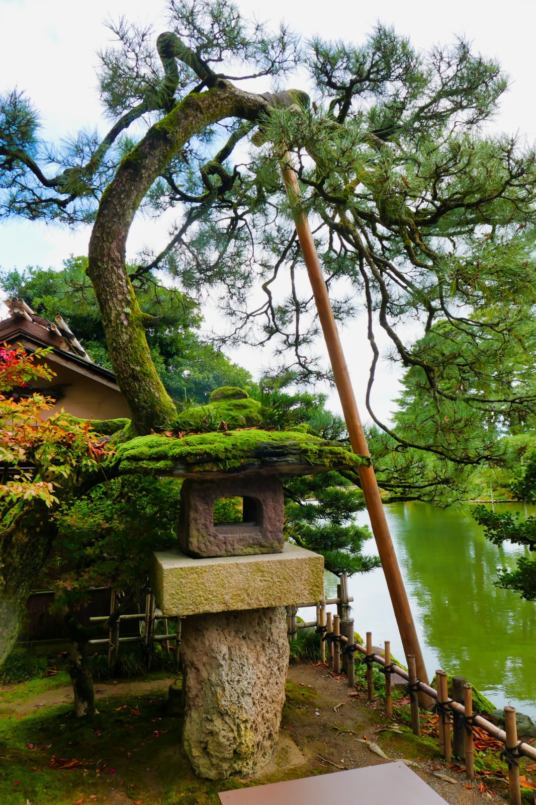 Kenroku-en have