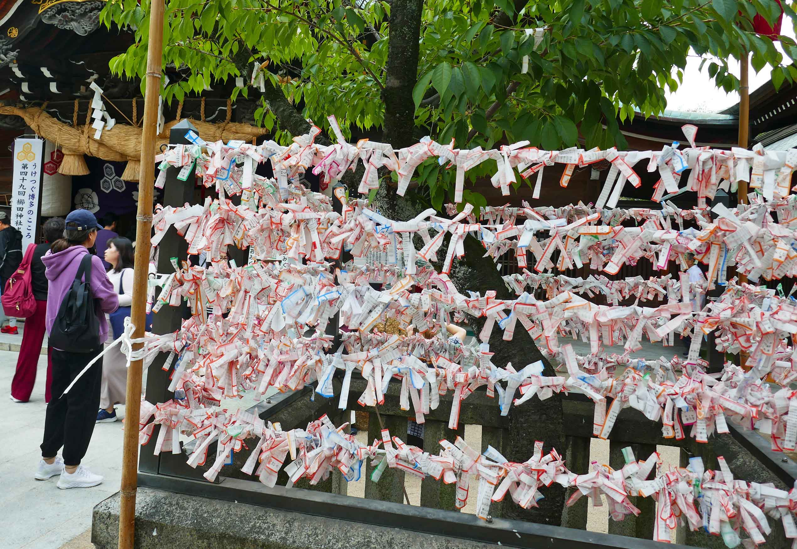 Omikuji