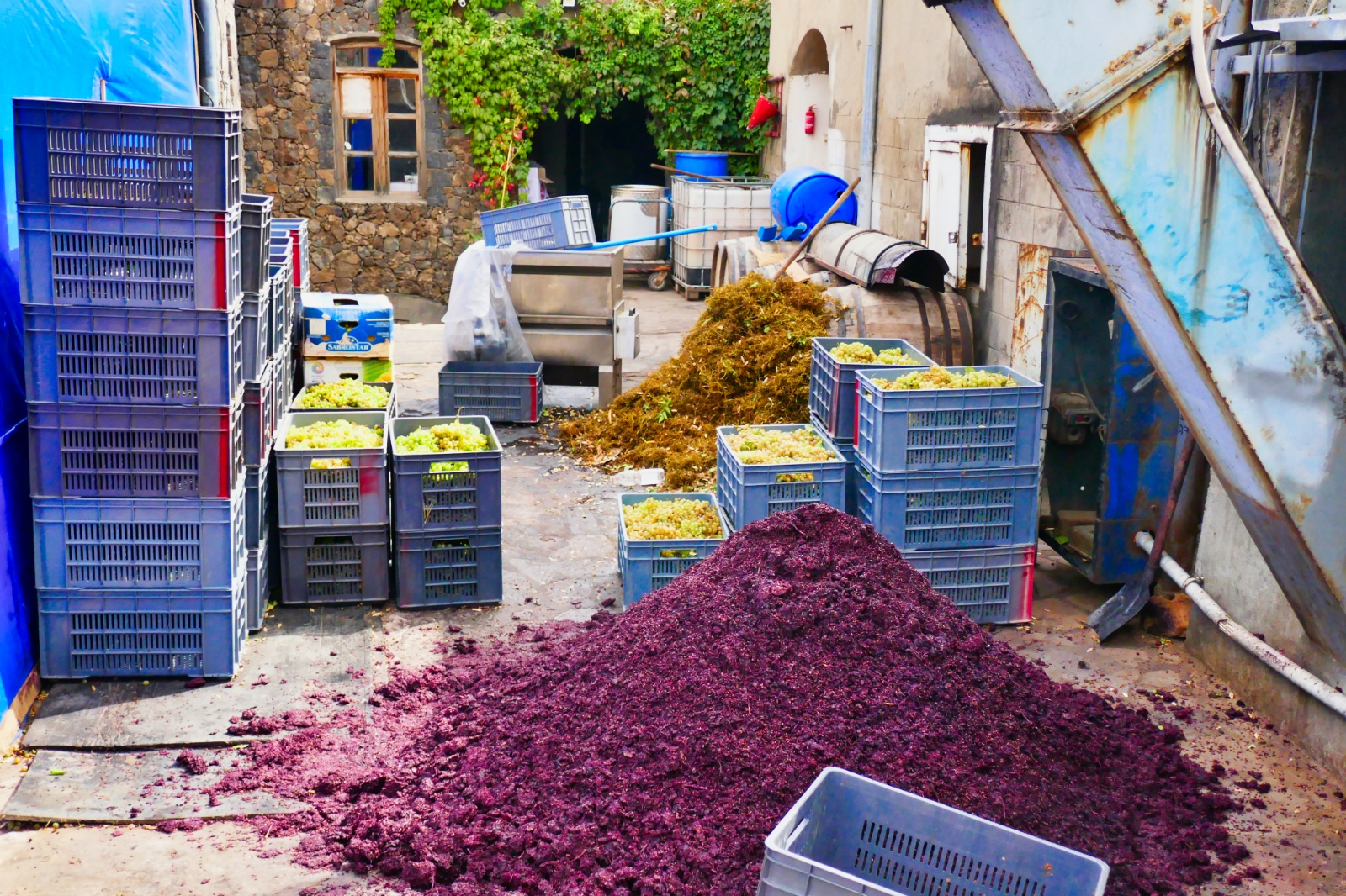 Areni Winery