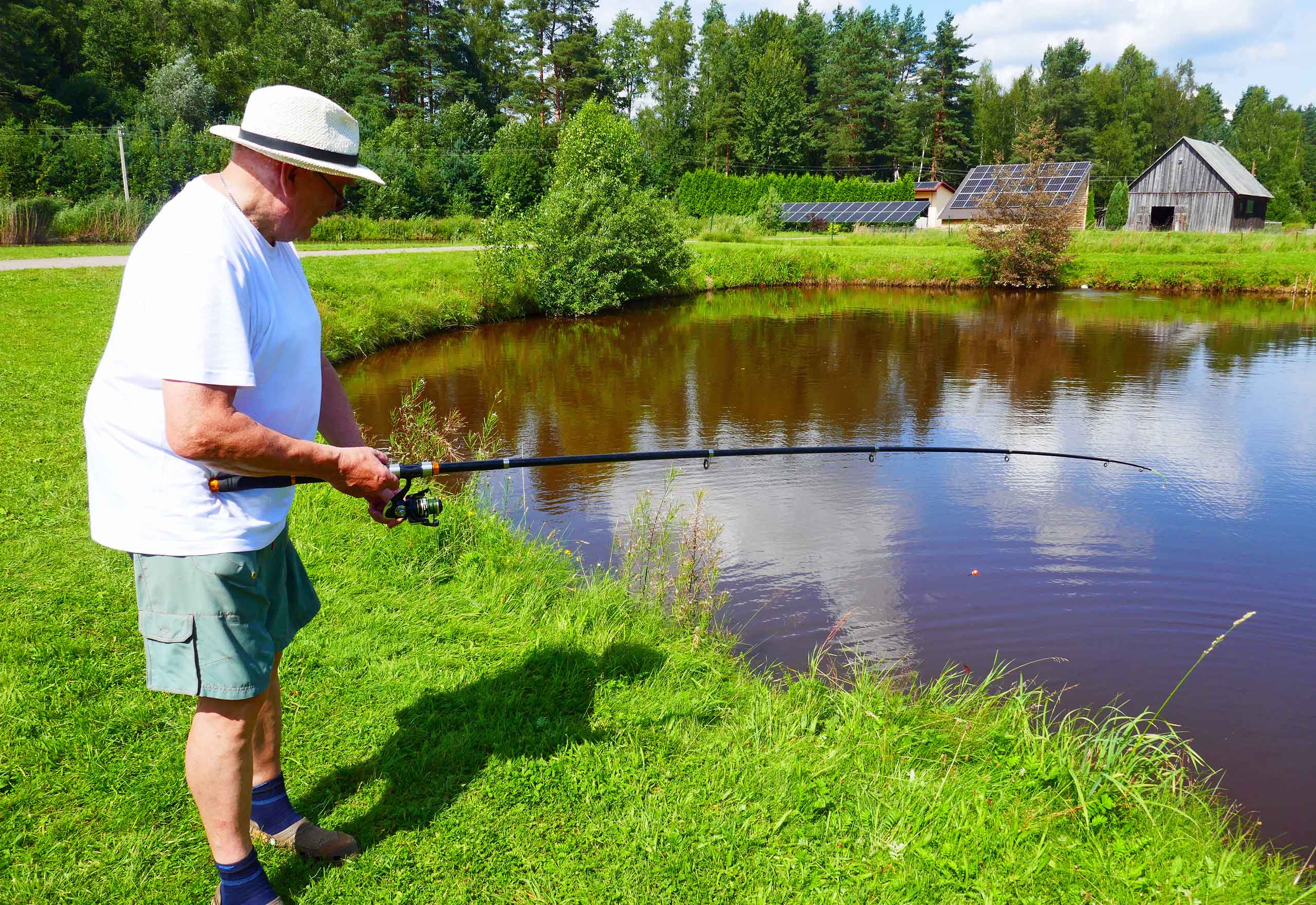 Zigfrieds har bid