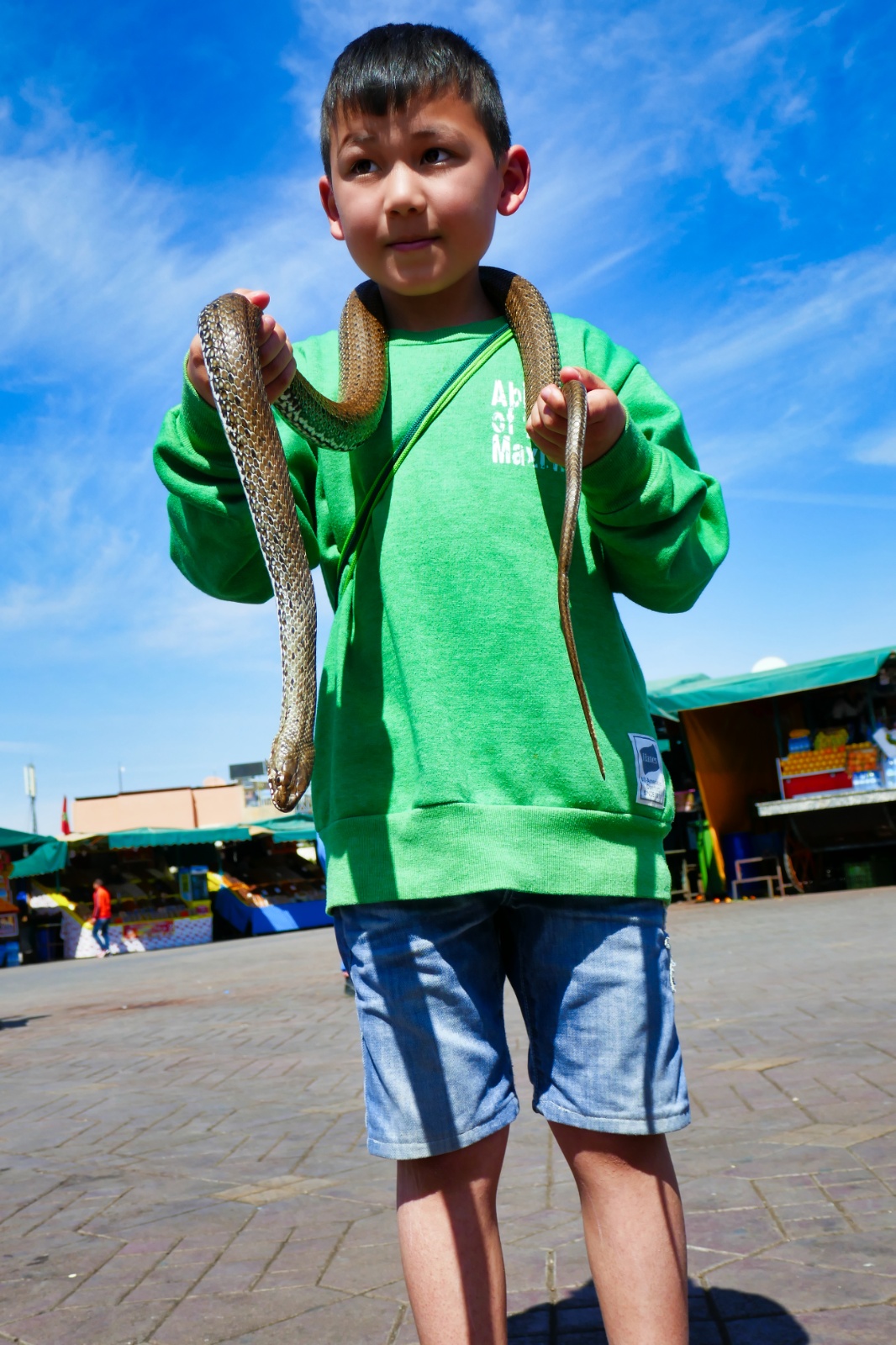 Slangetæmmer Oliver