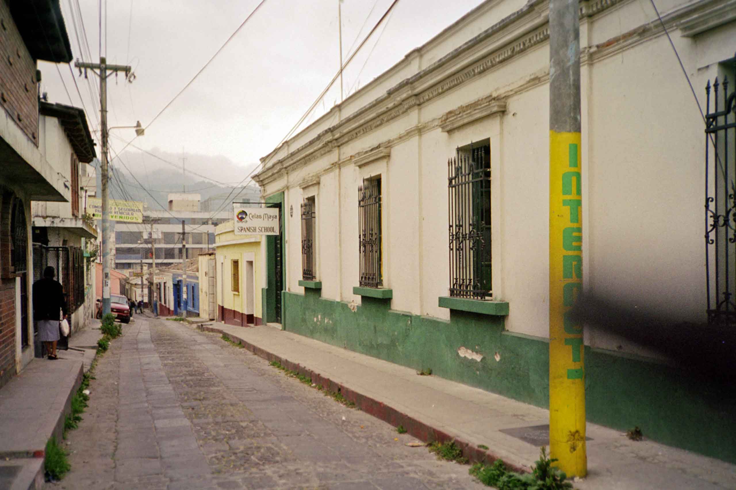 Celas Maya
