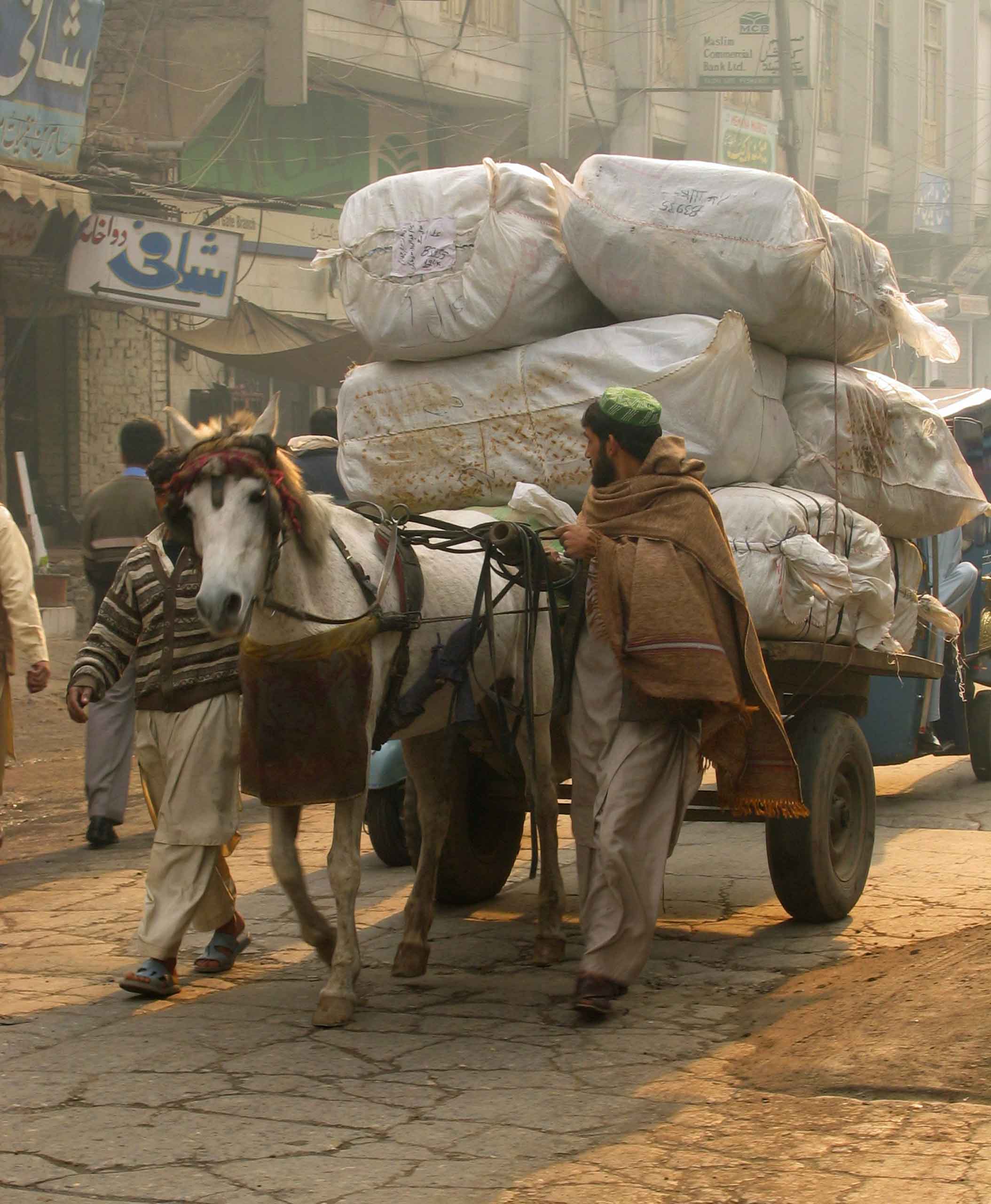 Peshawar markeds transport