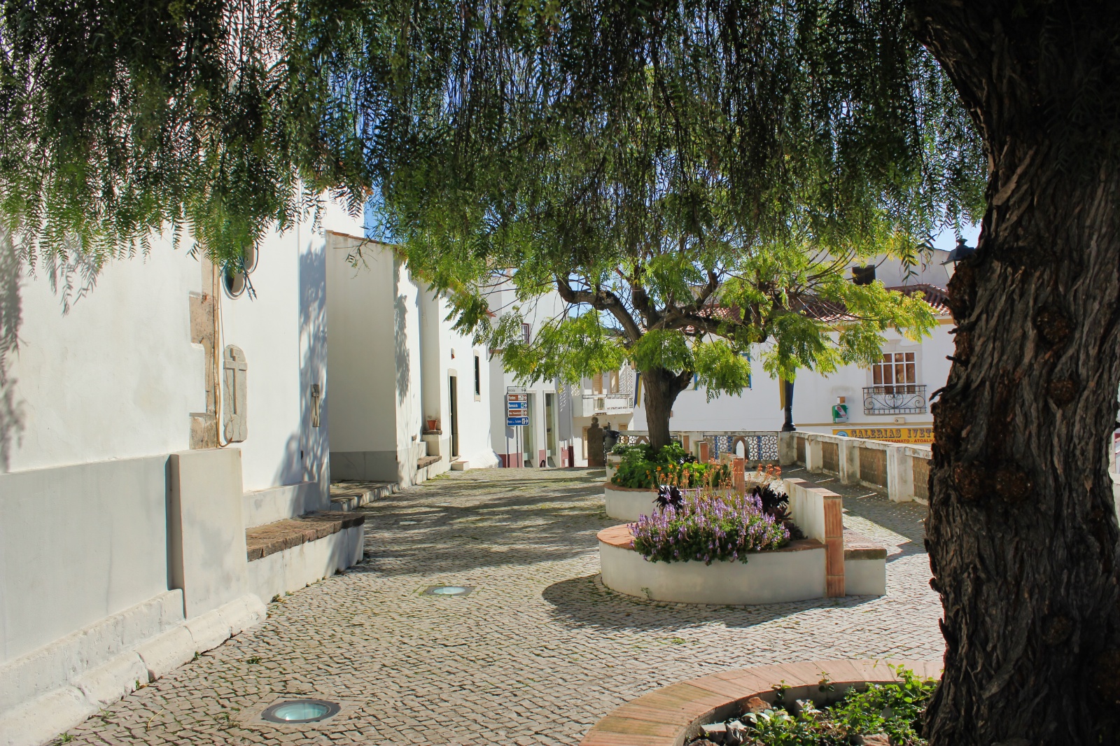 Alte