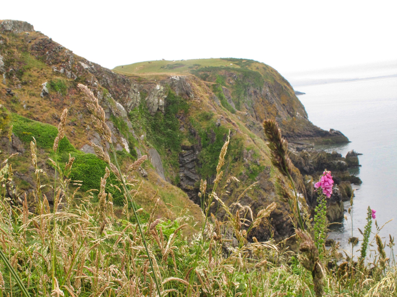 Vandretur vestkysten