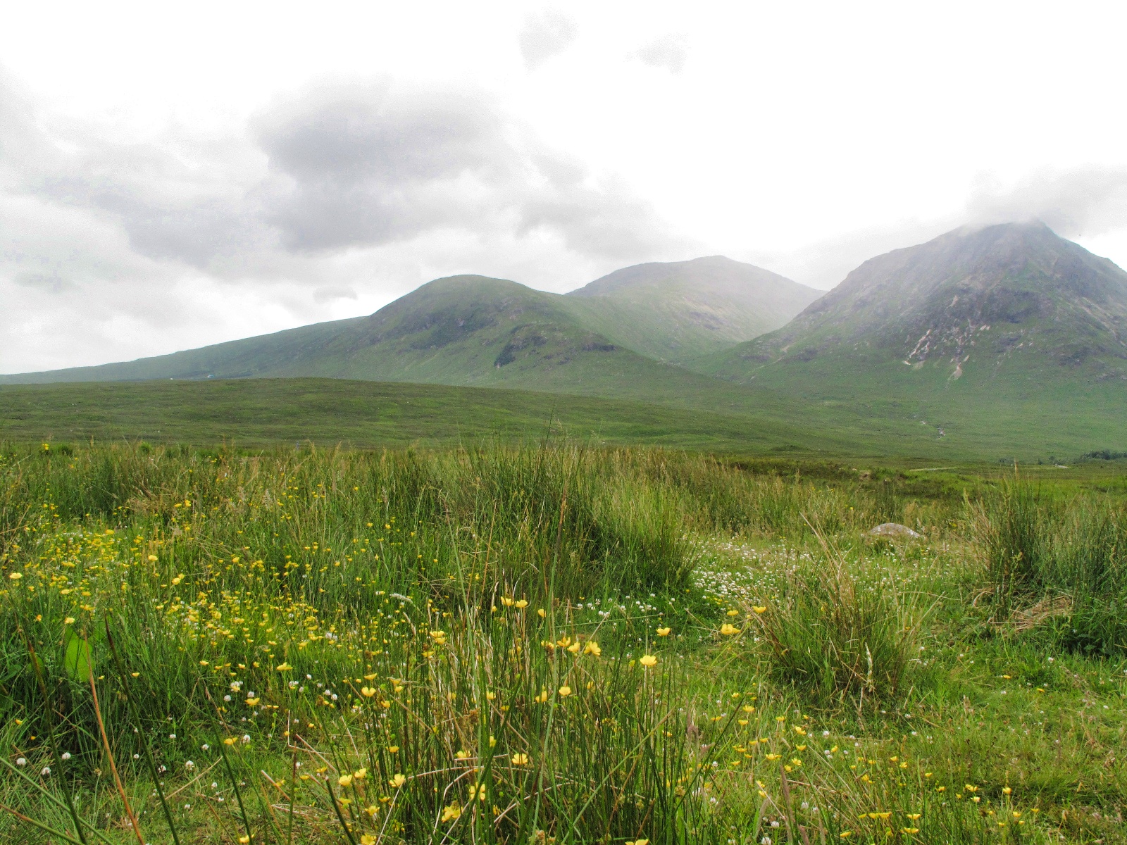 Vandretur vestkysten