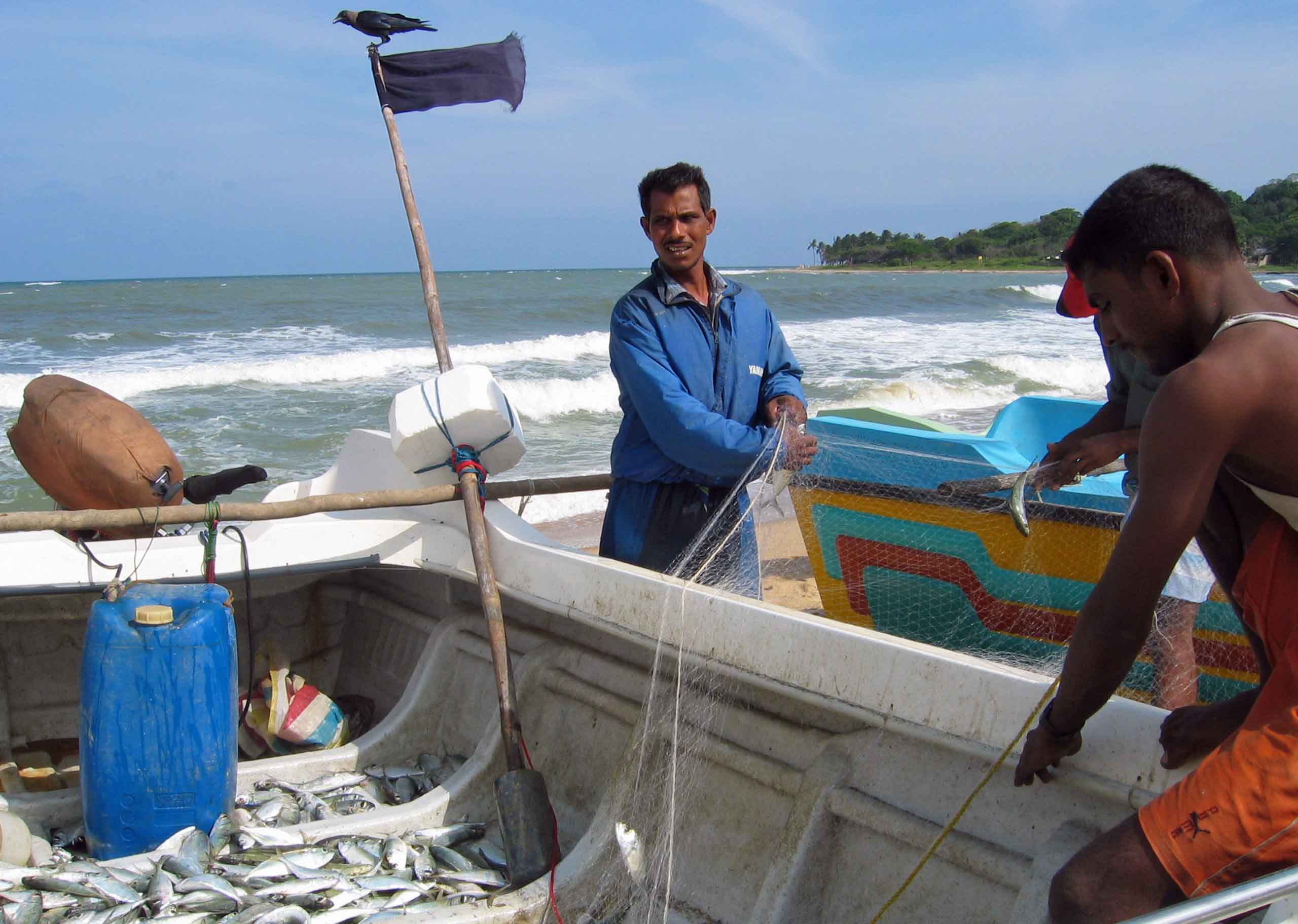 Fiskere