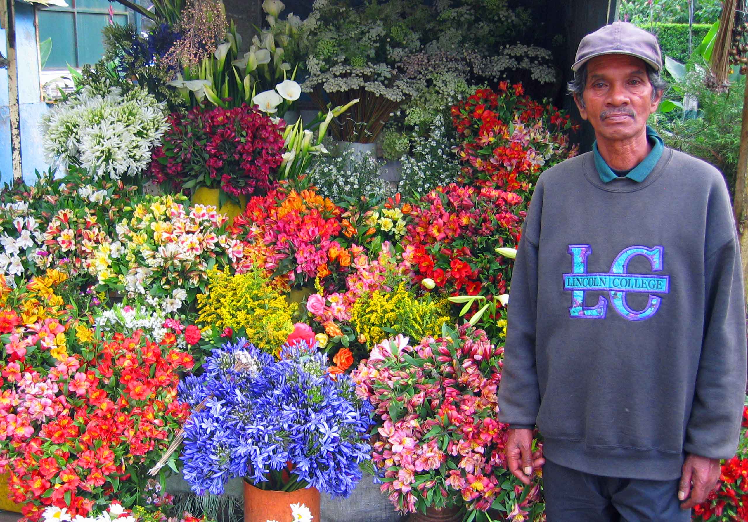 Blomster