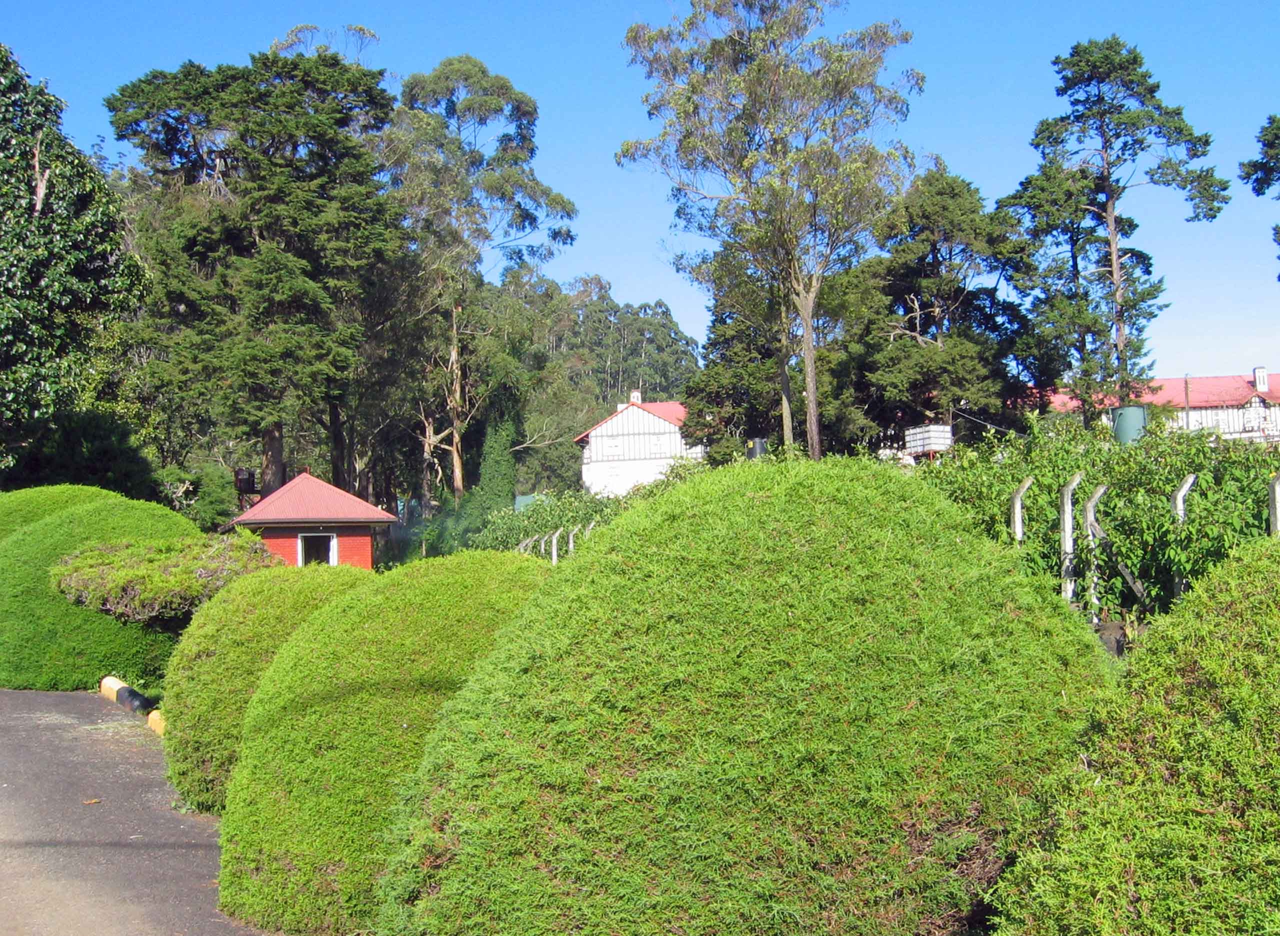 Engelske haver