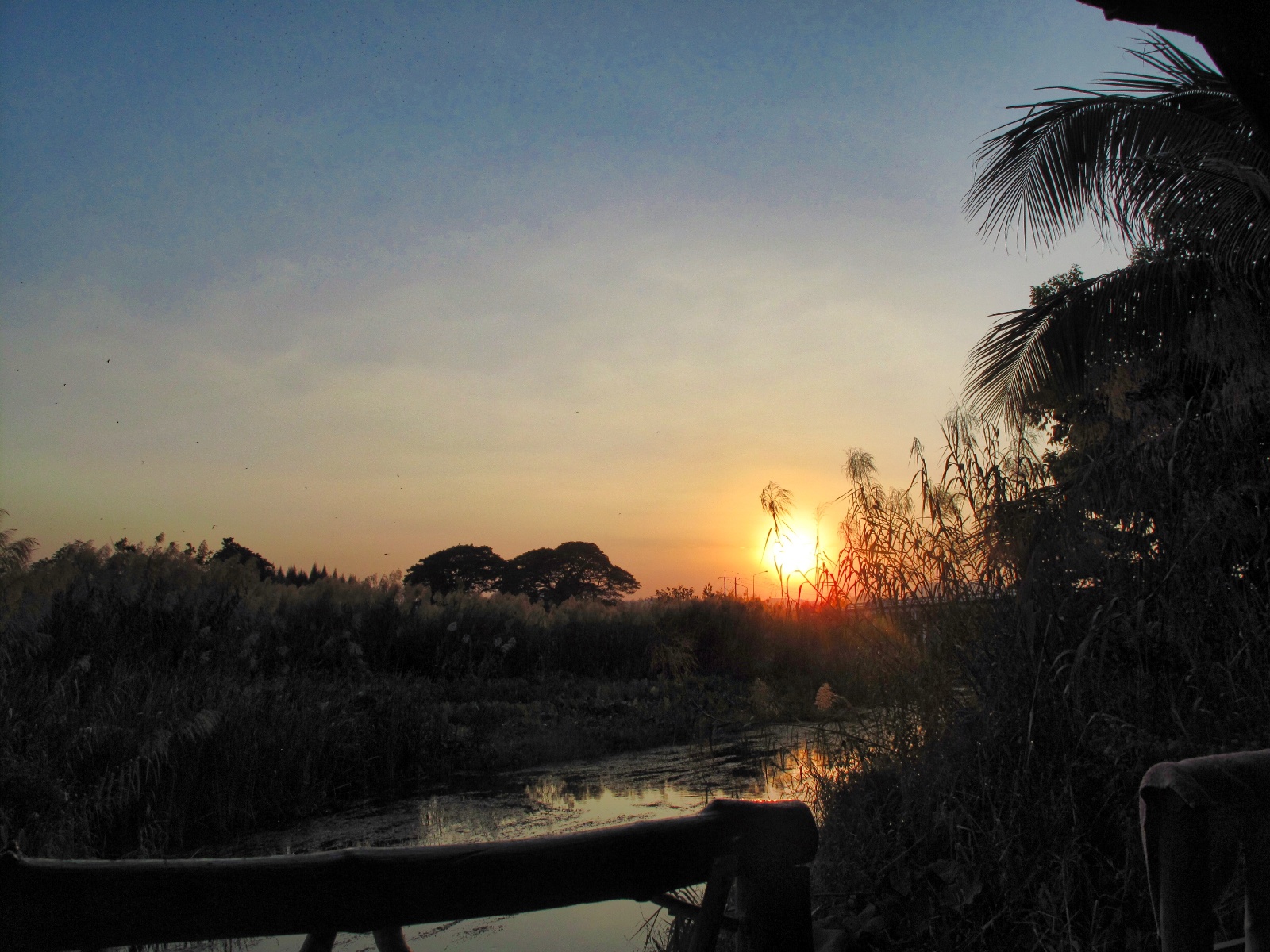 Solnedgang