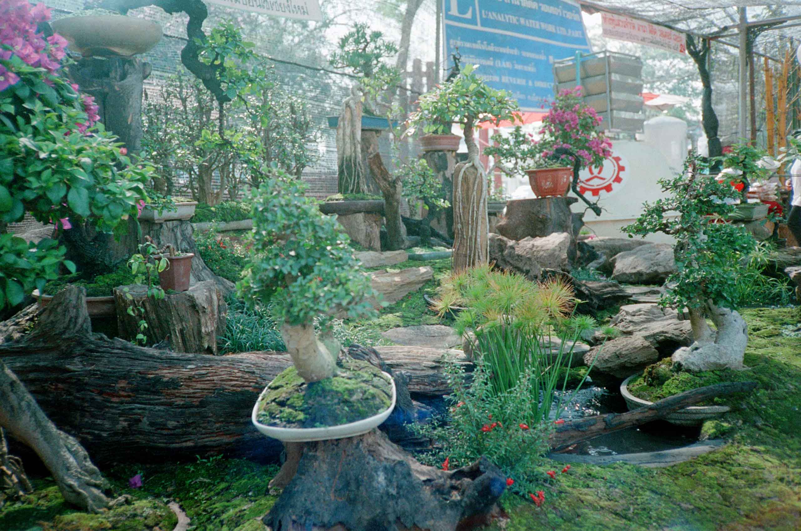 Chiang Mai
