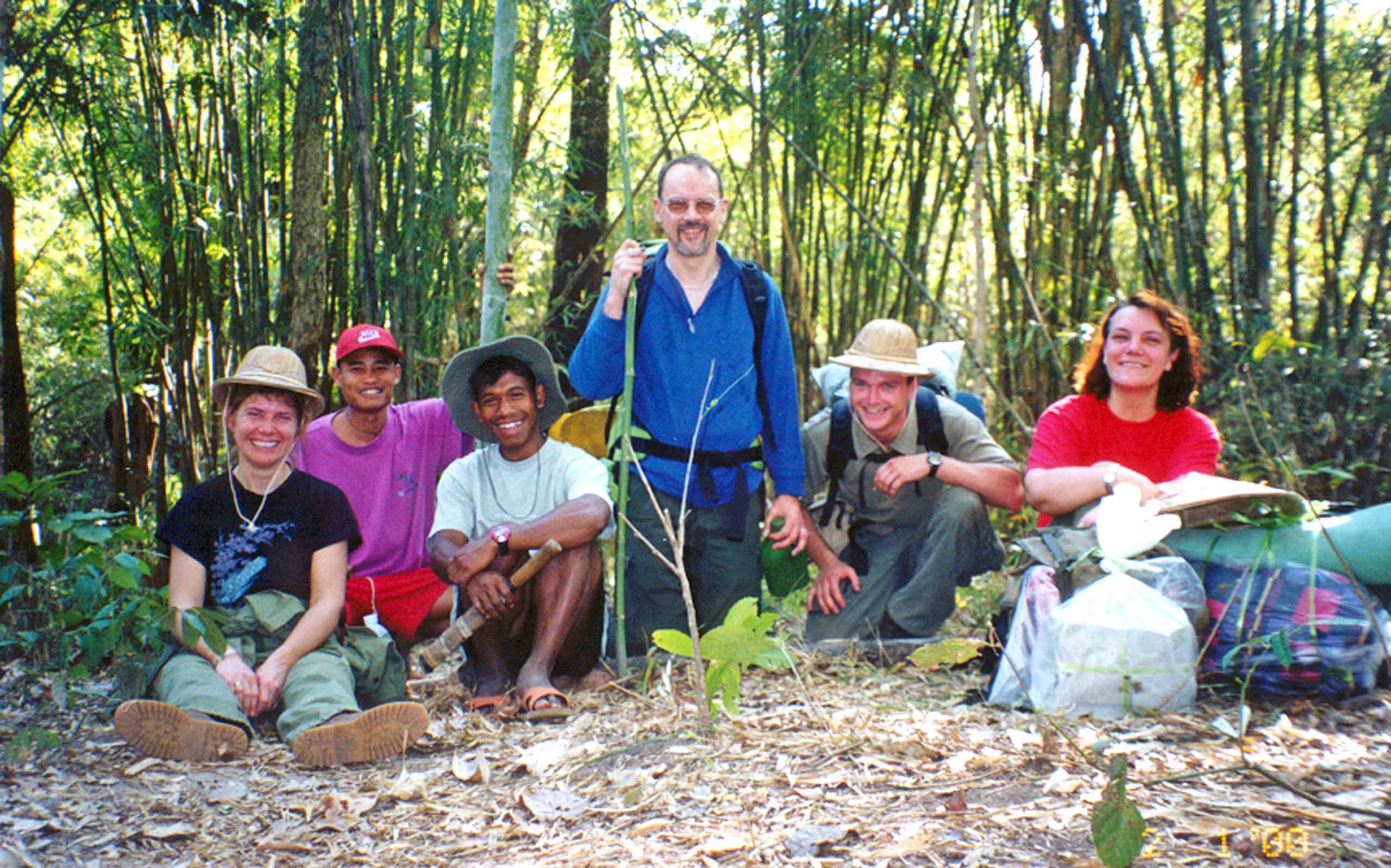 Jungle trek