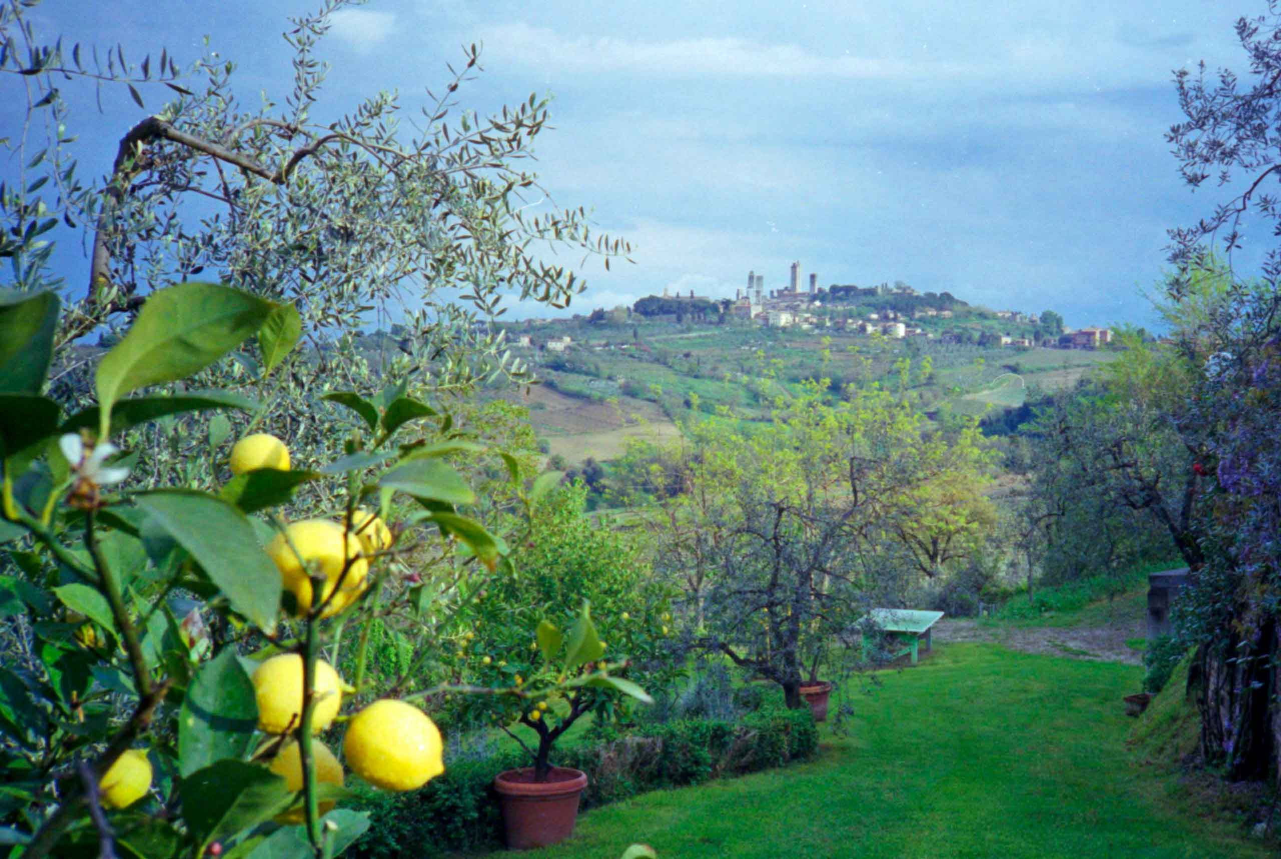 Udsigt fra vor terrasse