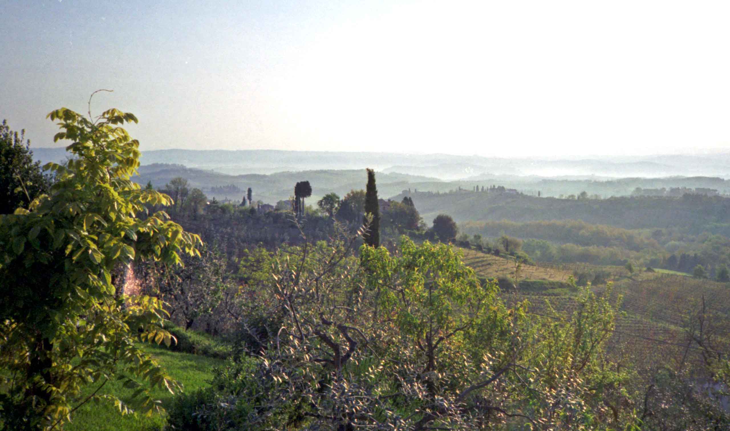 Udsigt fra vor terrasse