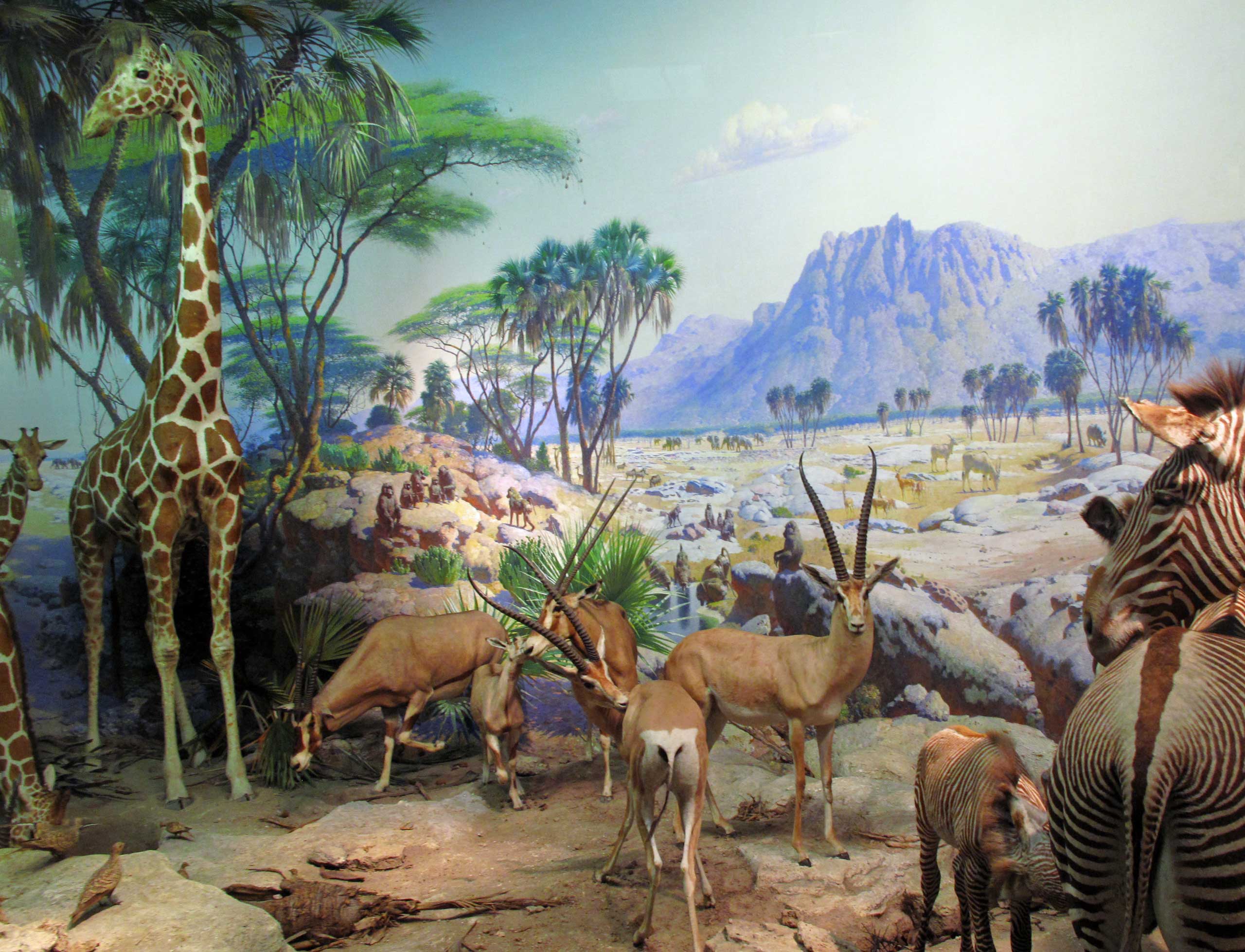 Naturhistorisk Museum