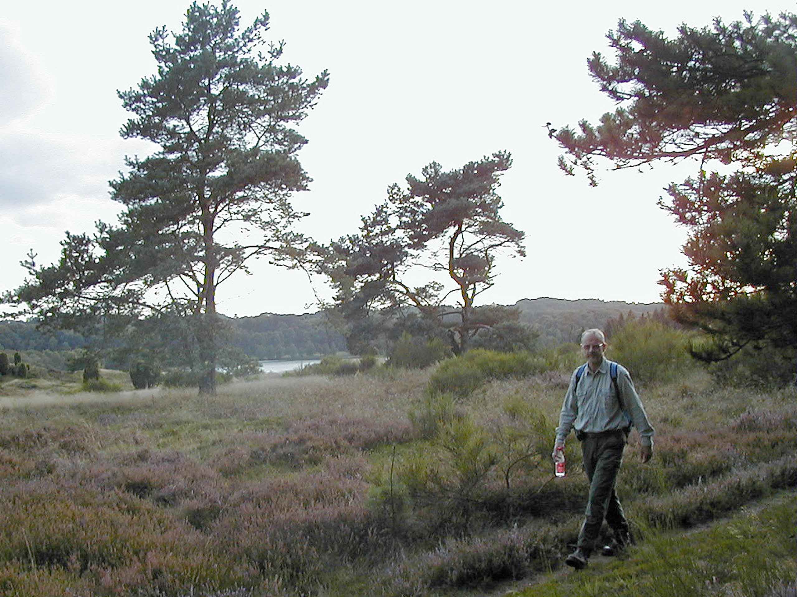Gudenåens Kilder
