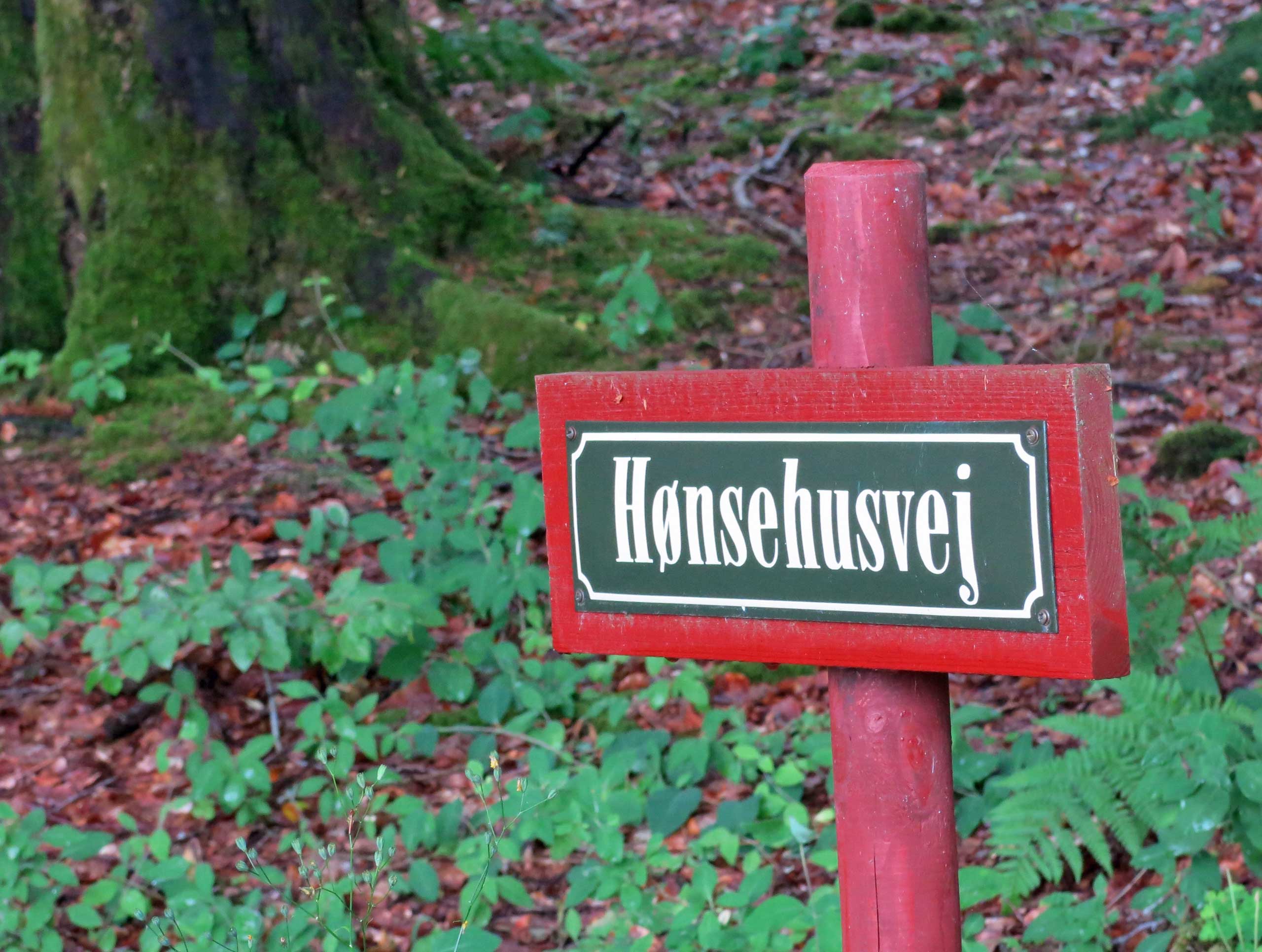 Gennem skoven til Alling Kloster