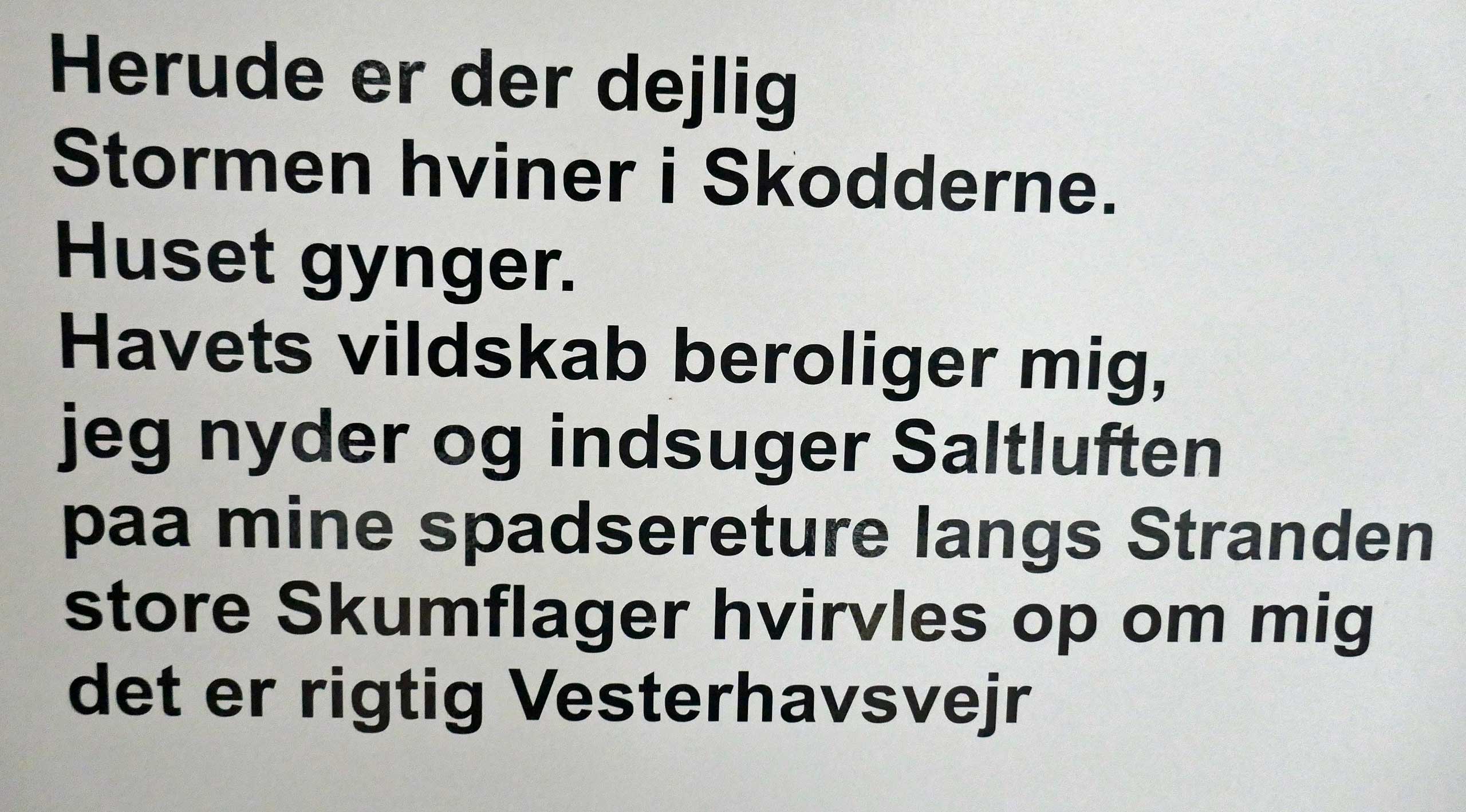 Vesterhavets vildskab