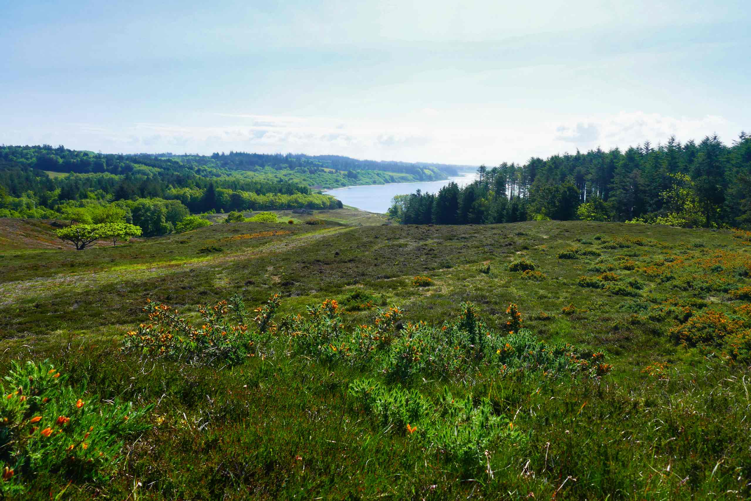 Udsigt over Skibsted Fjor