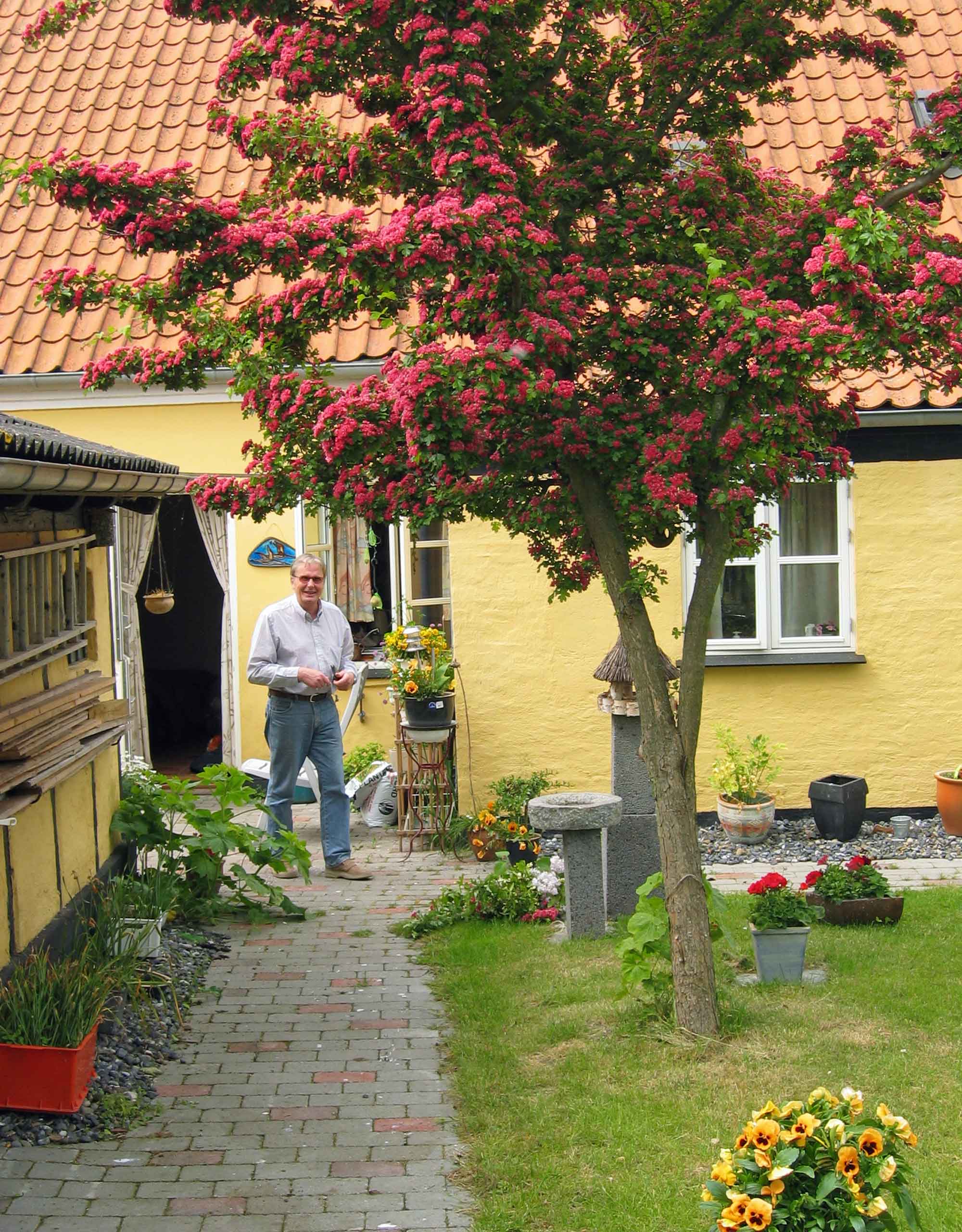 Dejlig byhus med have