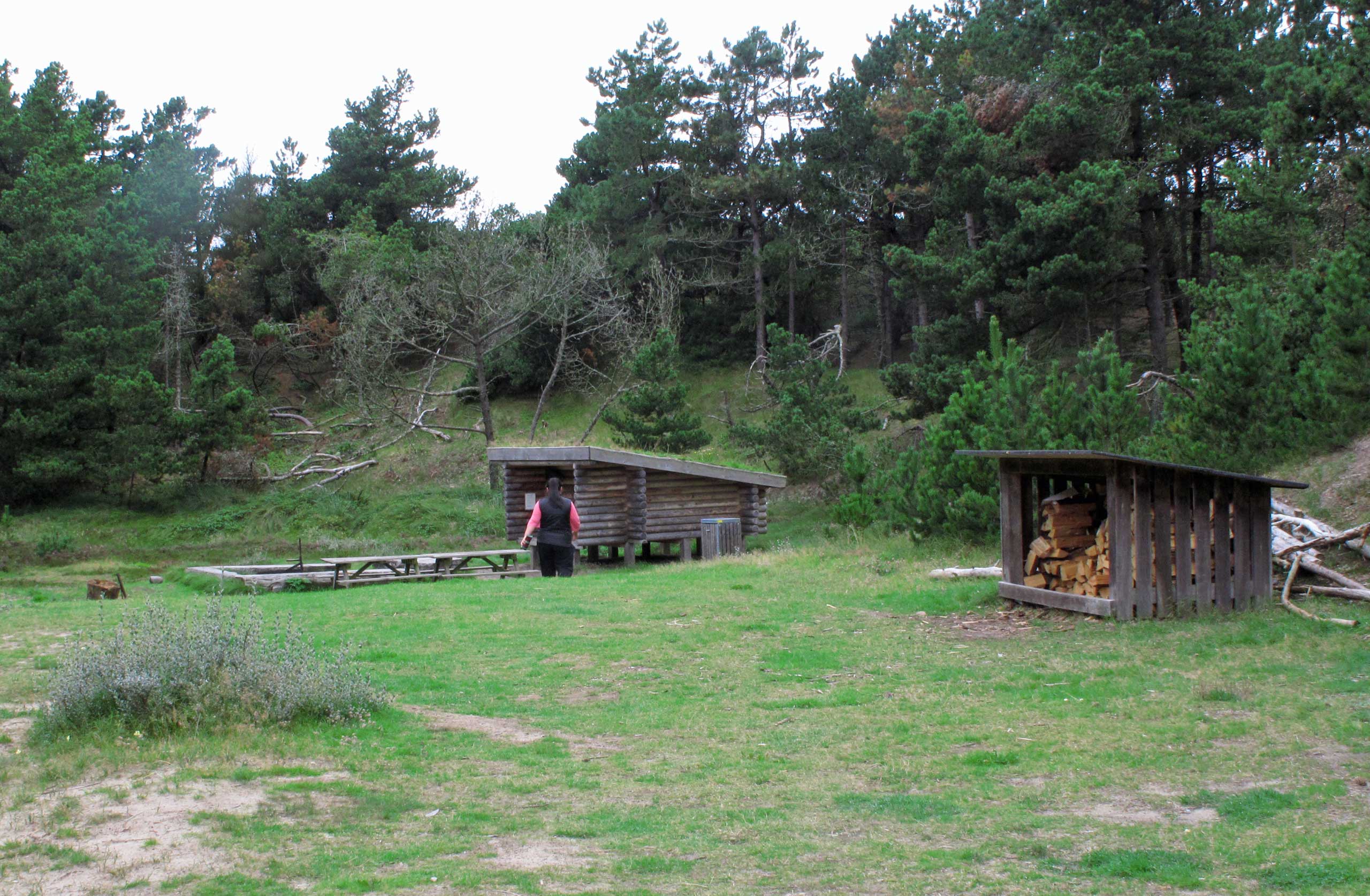 Shelter