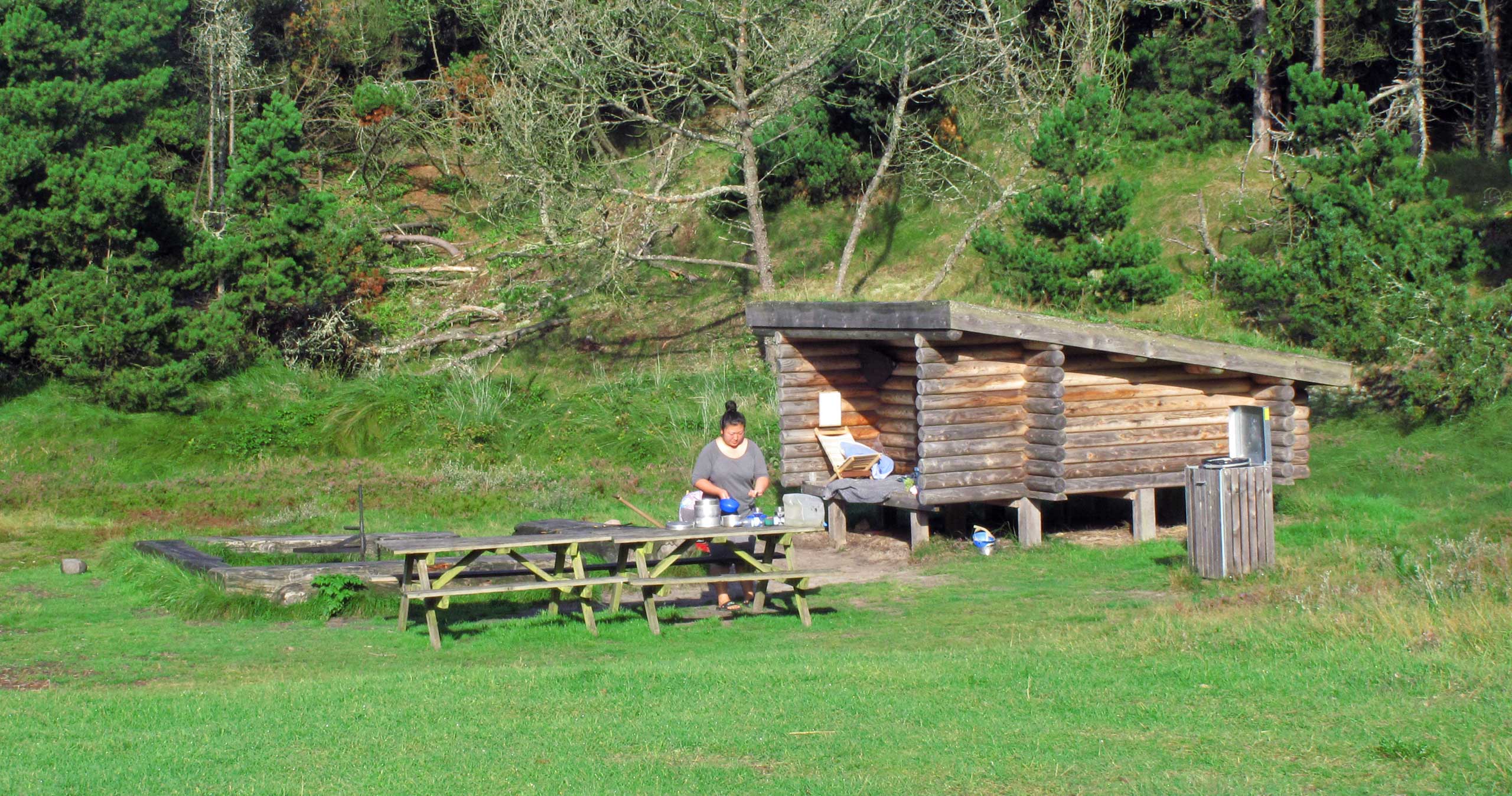 Shelter