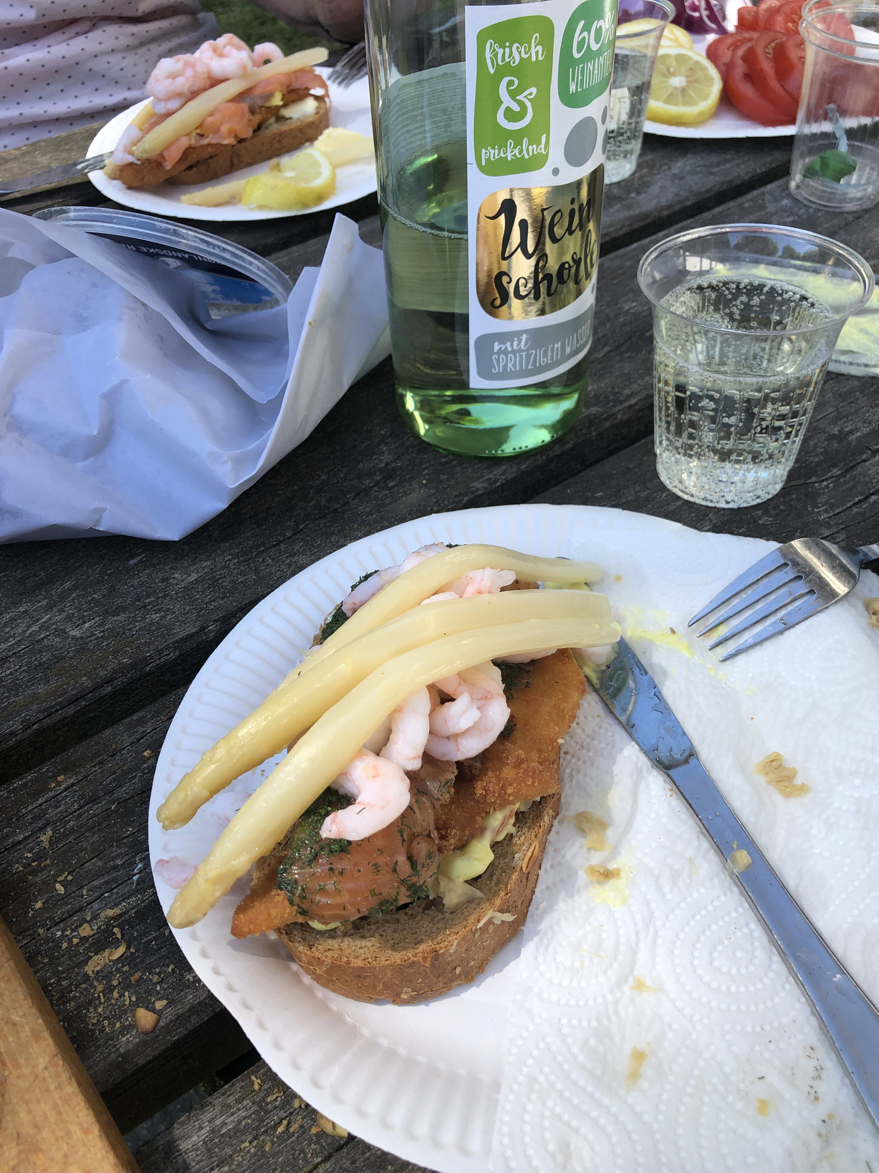 Stjerneskud