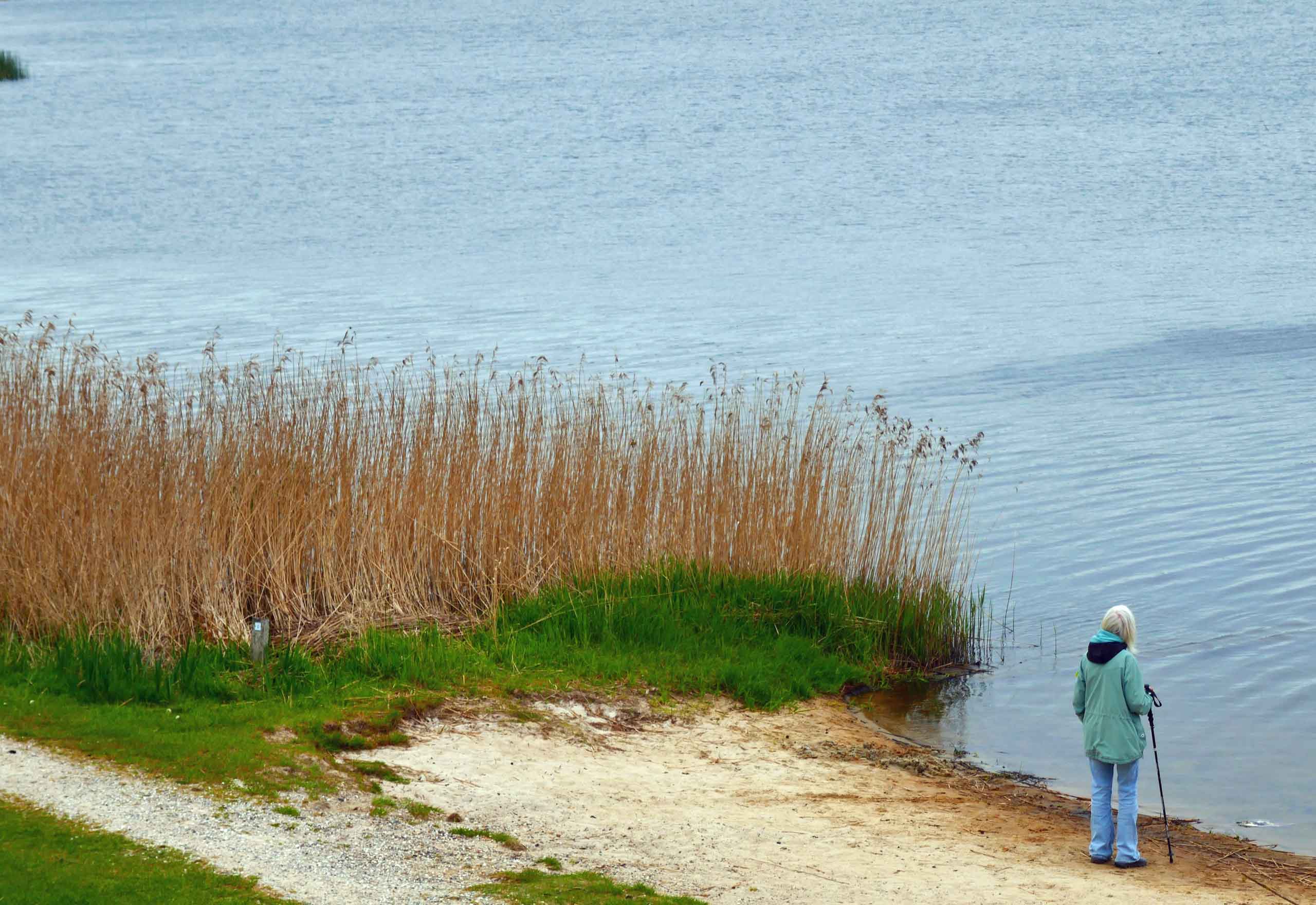 Udsigt fra Fugletårnet